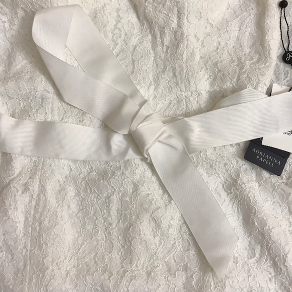 Adriana Papell Lace V-Neck Sash Gown - Picture 7 of 7